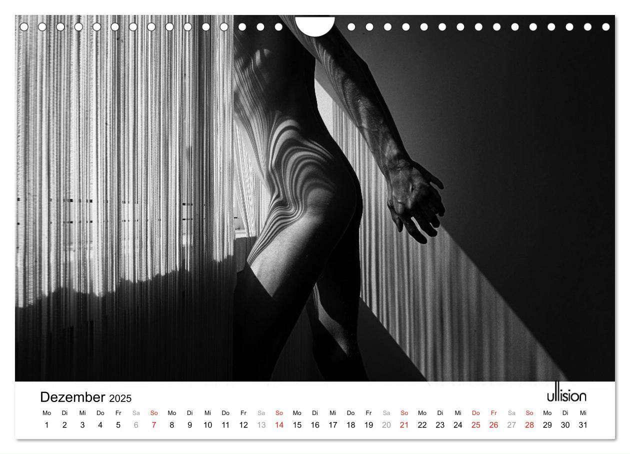 Bild: 9783435566112 | Männer AKT Art (Wandkalender 2025 DIN A4 quer), CALVENDO...