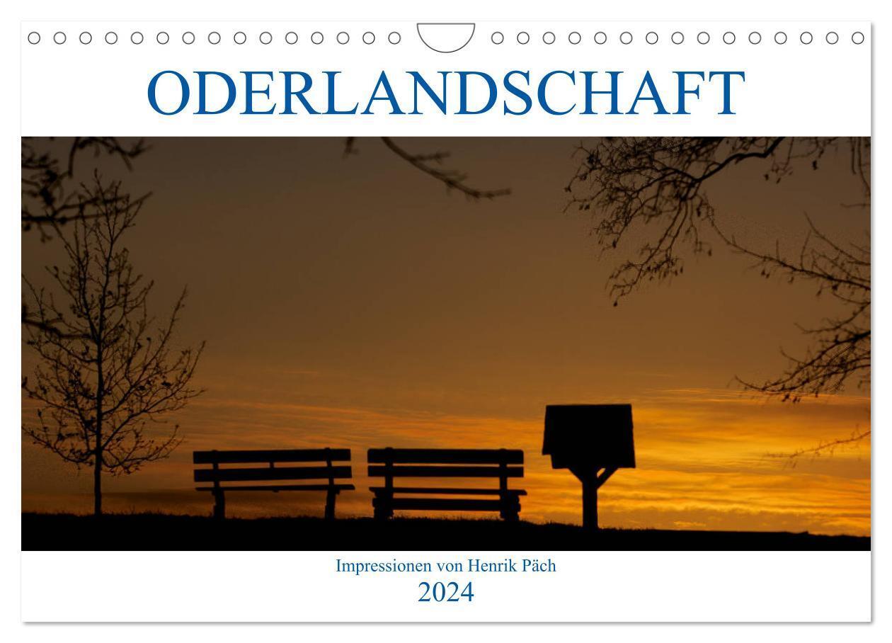 Cover: 9783383227899 | Oderlandschaft (Wandkalender 2024 DIN A4 quer), CALVENDO...