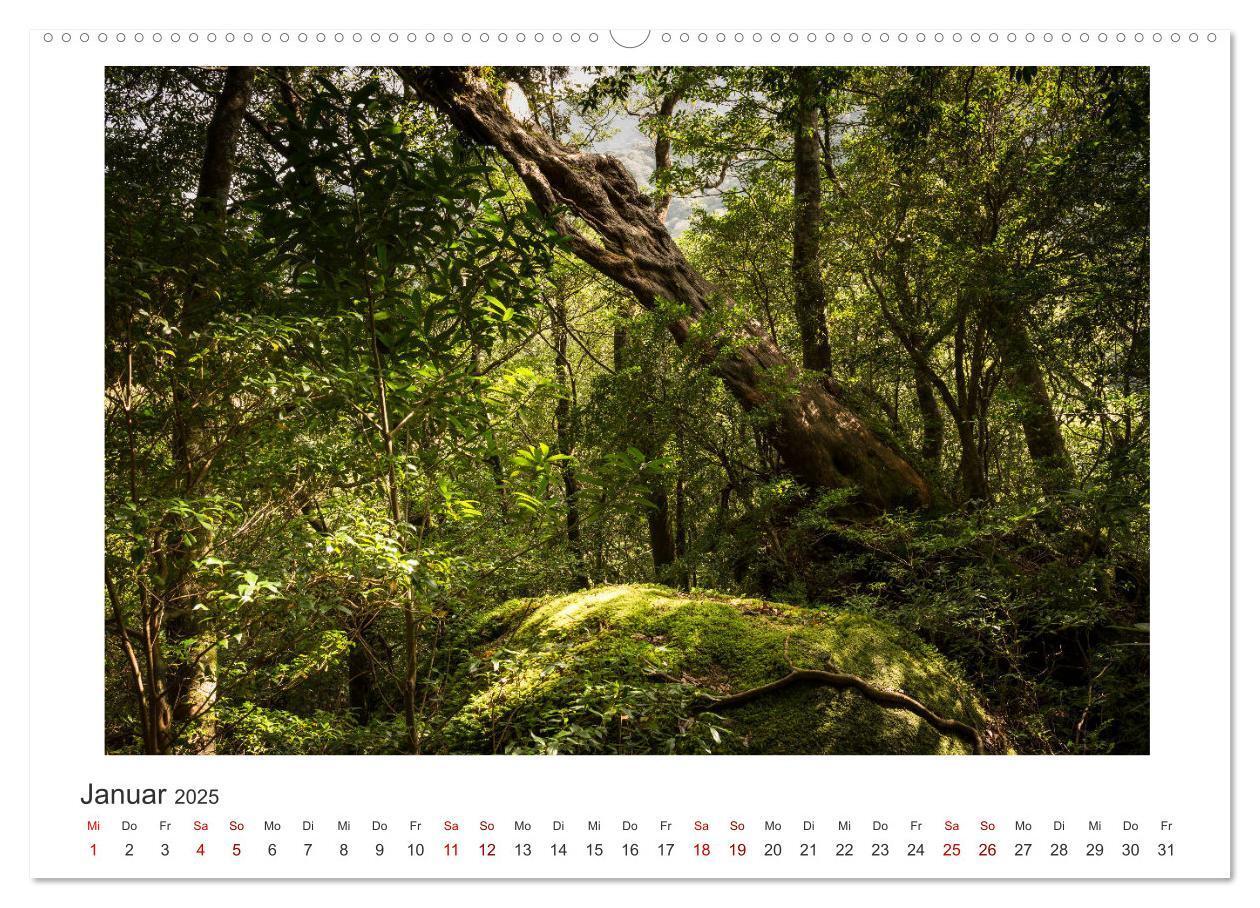 Bild: 9783435344338 | Yakushima - Japans Weltnaturerbe (Wandkalender 2025 DIN A2 quer),...