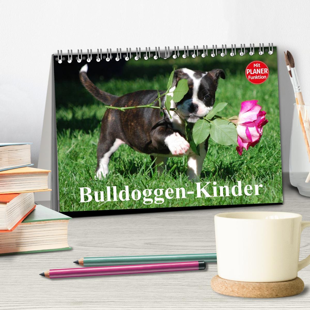 Bild: 9783435533602 | Bulldoggen-Kinder (Tischkalender 2025 DIN A5 quer), CALVENDO...