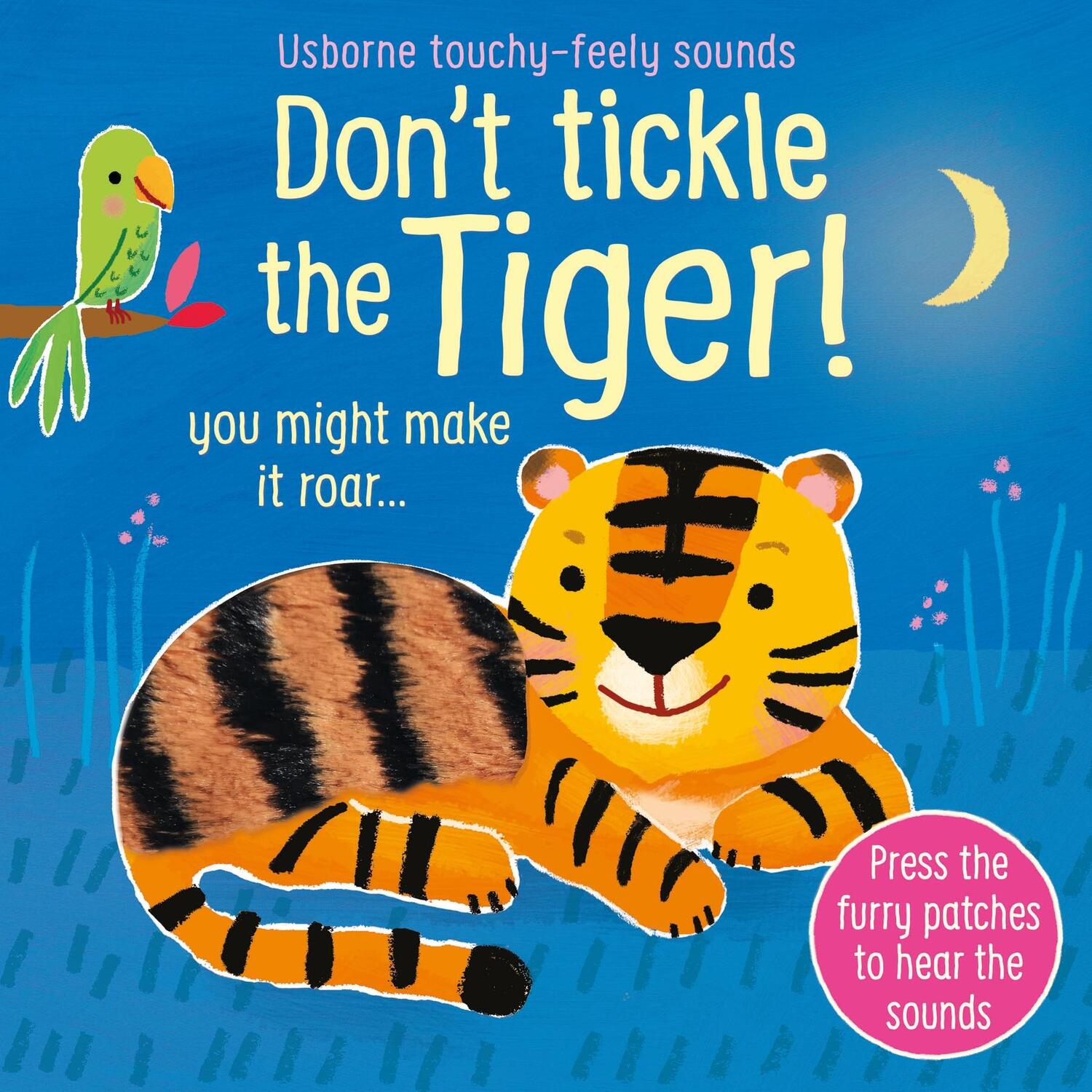 Cover: 9781474981026 | Don't Tickle the Tiger! | Sam Taplin | Buch | Papp-Bilderbuch | 2021