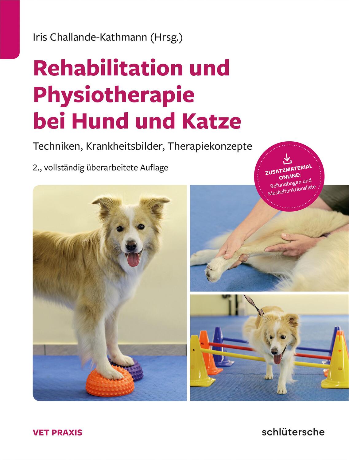 Cover: 9783899936964 | Rehabilitation und Physiotherapie bei Hund und Katze | Buch | Deutsch