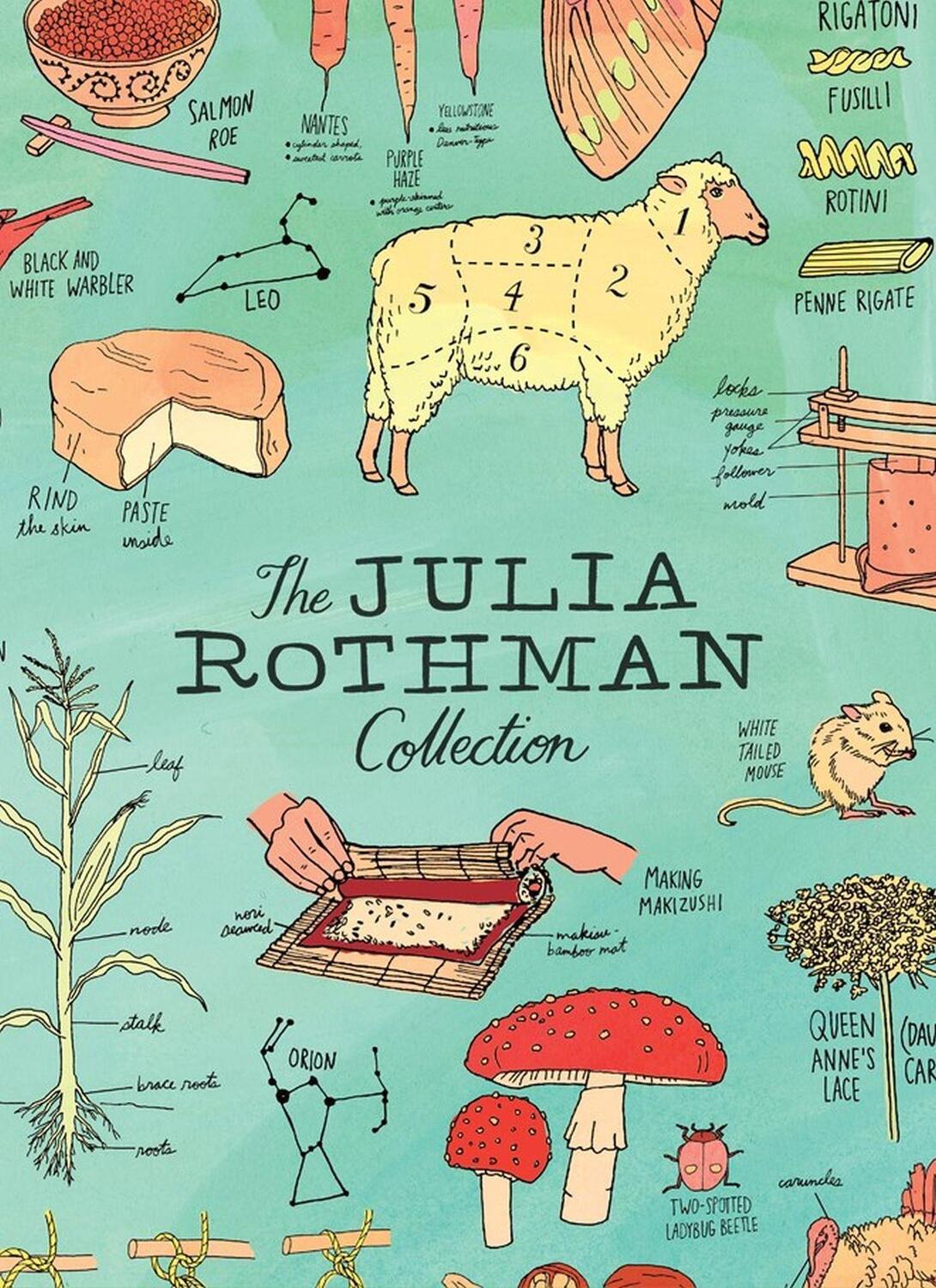 Cover: 9781612128528 | The Julia Rothman Collection | Julia Rothman | Buch | Englisch | 2016