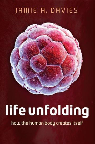 Cover: 9780199673544 | Life Unfolding | How the human body creates itself | Jamie A. Davies