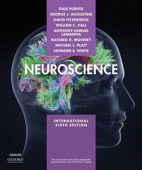 Cover: 9781605358413 | Neuroscience | Dale Purves (u. a.) | Taschenbuch | Englisch | 2018