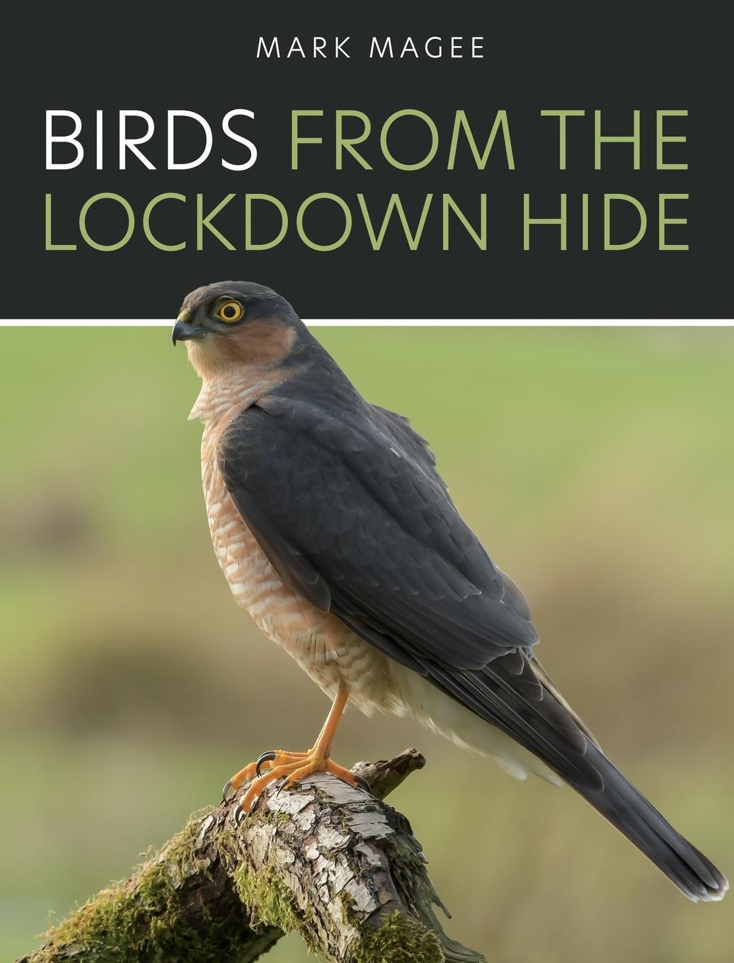 Cover: 9781802275957 | Birds From The Lockdown Hide | Mark Magee | Buch | Englisch | 2022