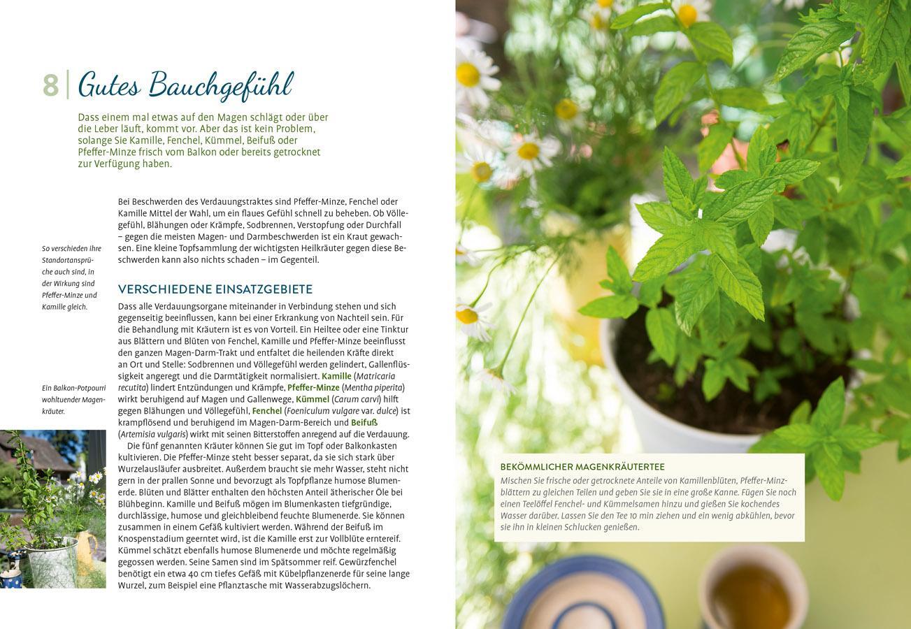Bild: 9783818622282 | Heilpflanzen auf meinem Balkon | Christina Freiberg | Taschenbuch