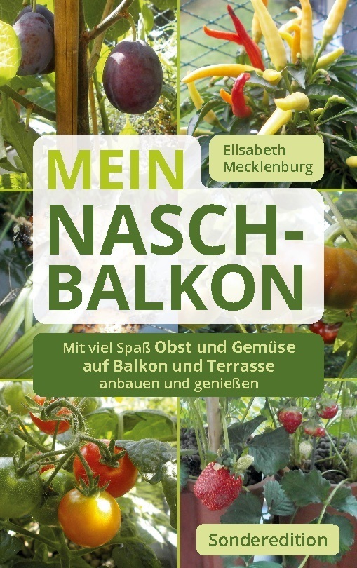 Cover: 9783755771104 | Mein Nasch-Balkon - Sonderedition | Elisabeth Mecklenburg | Buch