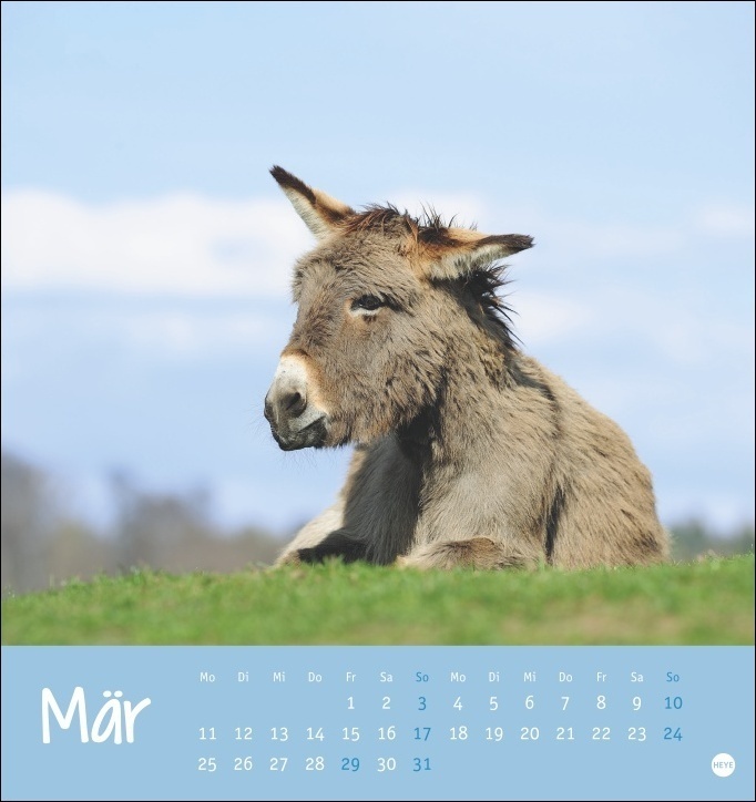 Bild: 9783756401307 | Esel - Von wegen sturer Esel Postkartenkalender 2024. Kleiner...
