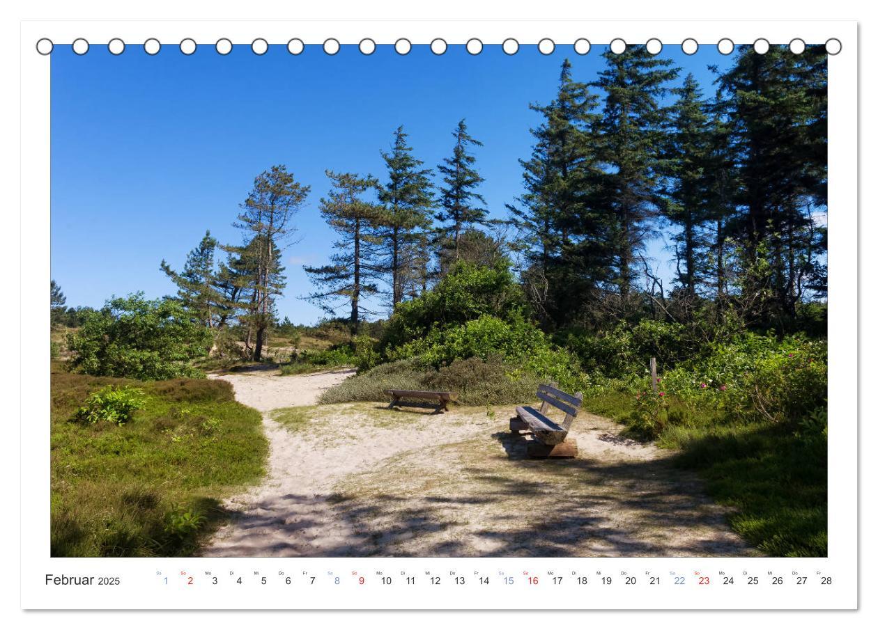 Bild: 9783435803002 | Impressionen der Nordseeinsel Amrum (Tischkalender 2025 DIN A5...