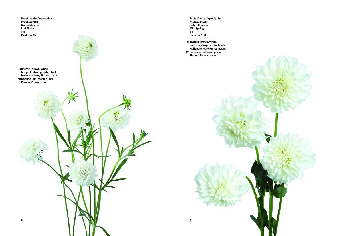 Bild: 9780714878300 | Flower Colour Guide | Darroch Putnam (u. a.) | Taschenbuch | 485 S.
