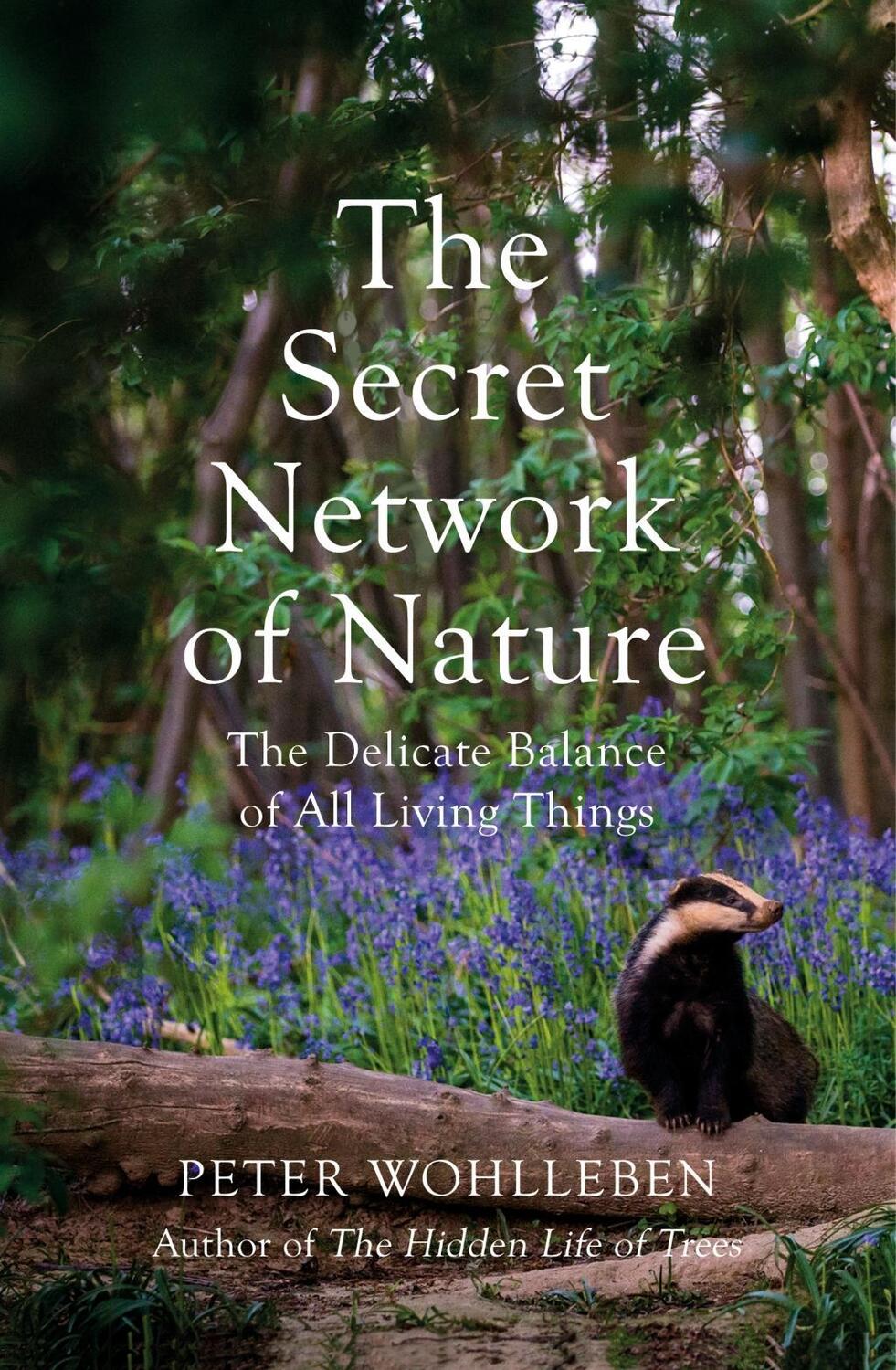 Cover: 9781784708498 | The Secret Network of Nature | Peter Wohlleben | Taschenbuch | 2019