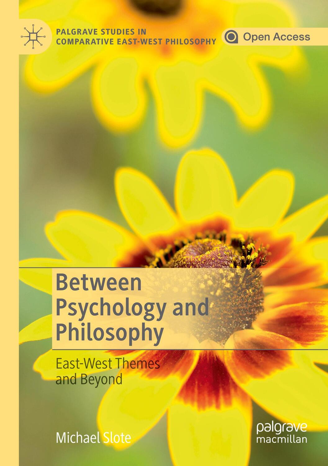 Cover: 9783030225056 | Between Psychology and Philosophy | East-West Themes and Beyond | Buch