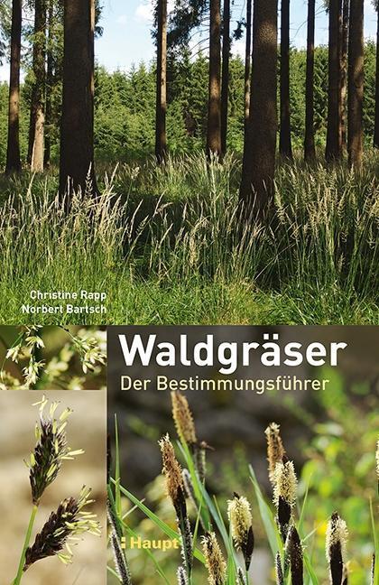 Cover: 9783258079578 | Waldgräser | Der Bestimmungsführer | Christine Rapp (u. a.) | Buch