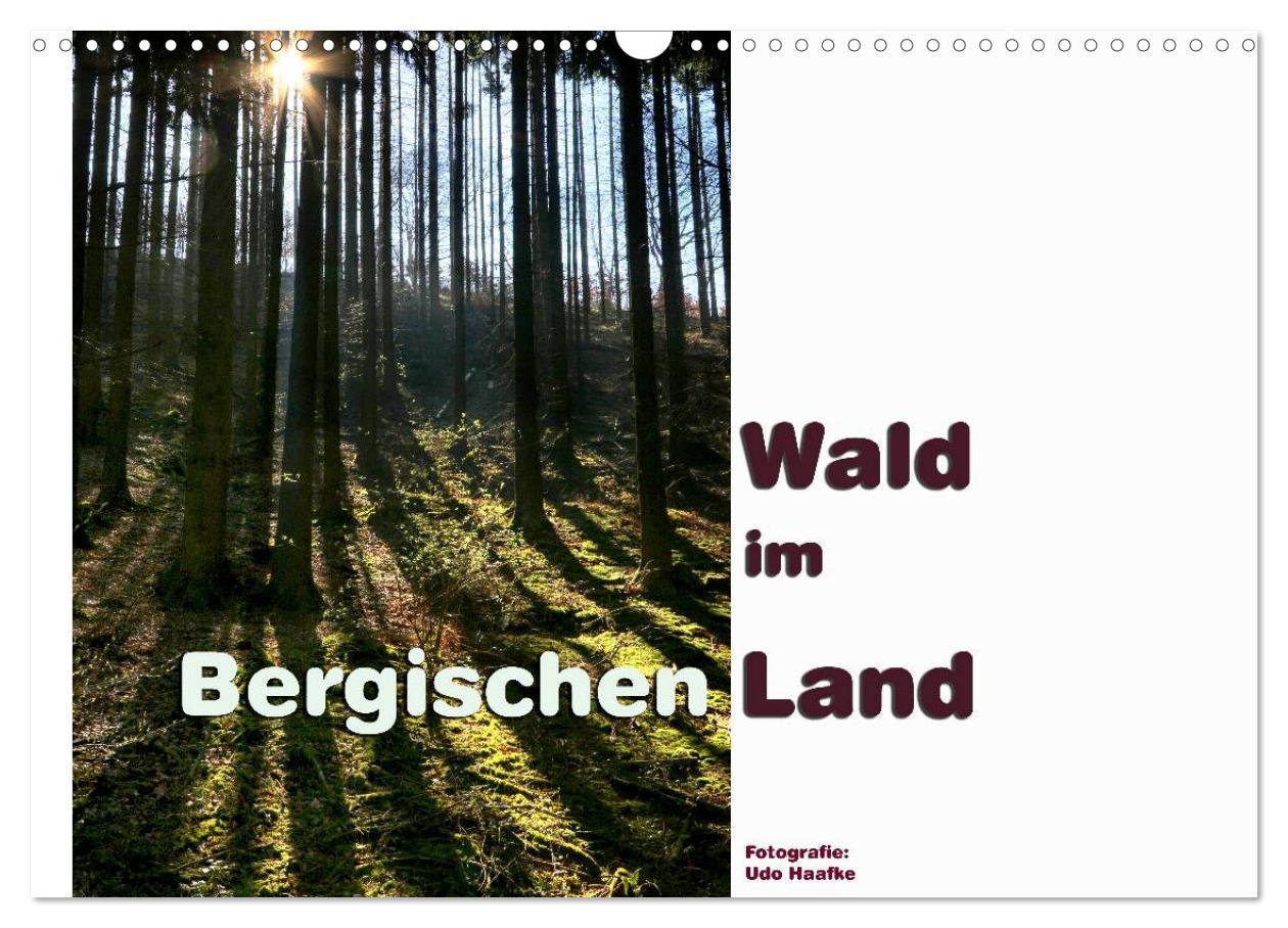 Cover: 9783435460014 | Wald im Bergischen Land 2025 (Wandkalender 2025 DIN A3 quer),...