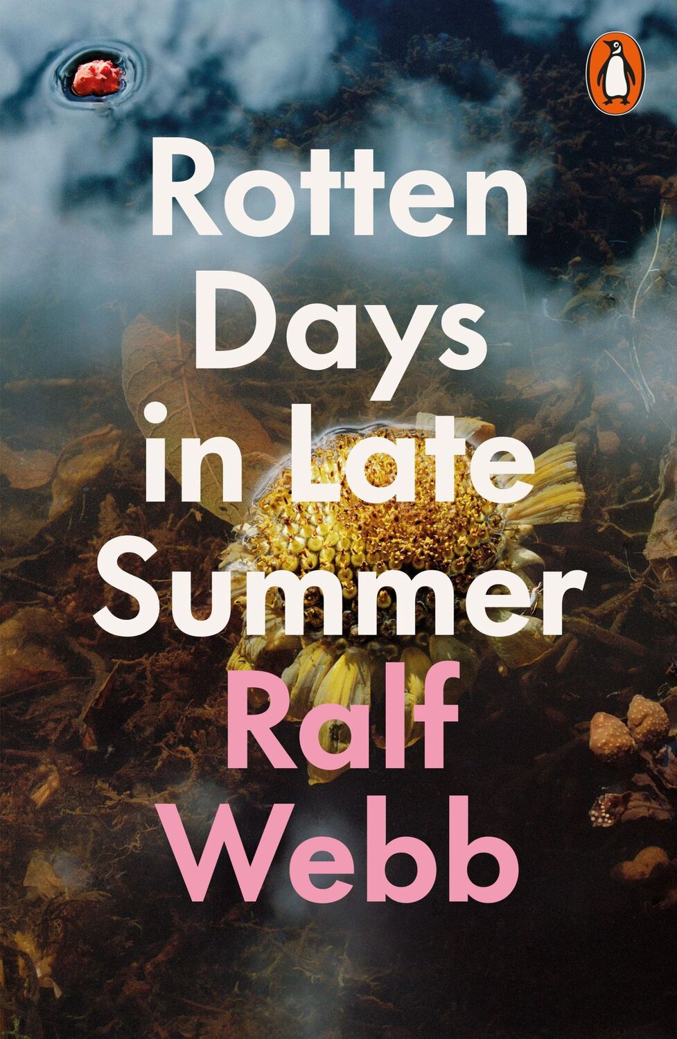 Cover: 9780141992730 | Rotten Days in Late Summer | Ralf Webb | Taschenbuch | Englisch | 2021