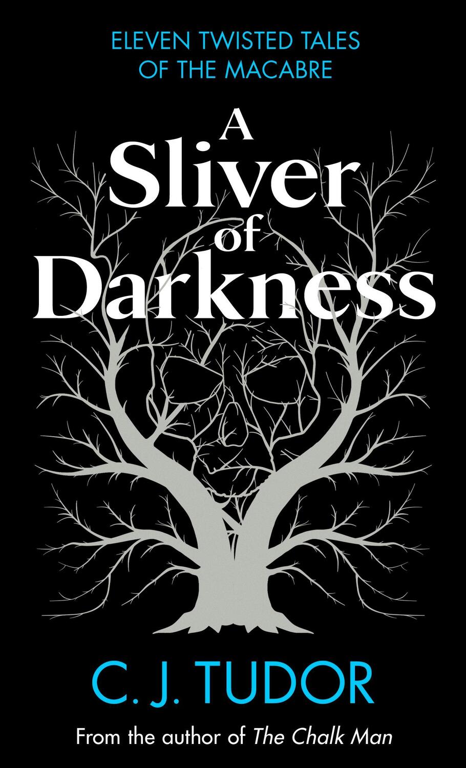 Cover: 9780241582633 | A Sliver of Darkness | C. J. Tudor | Buch | Gebunden | Englisch | 2022