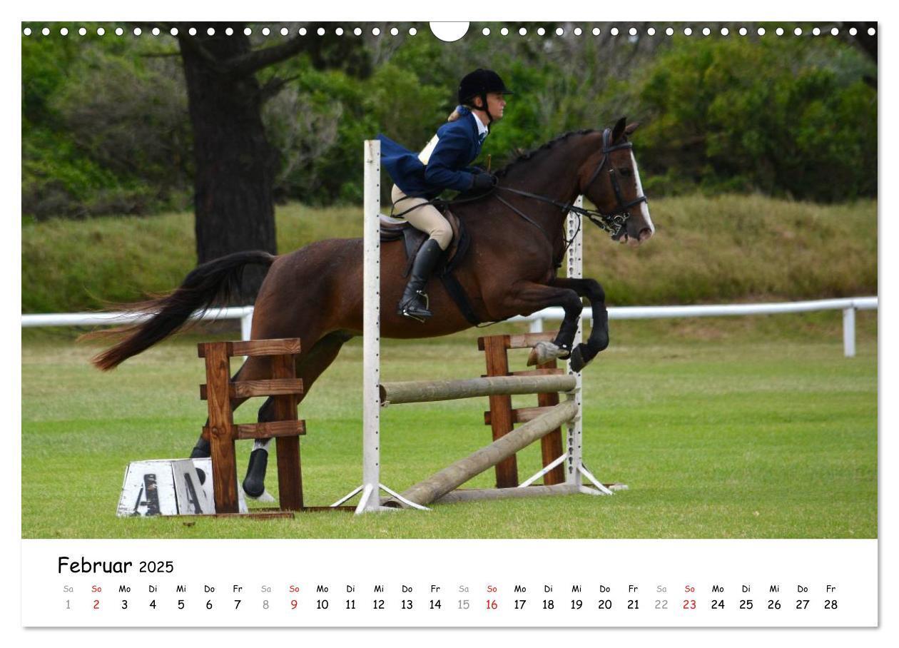 Bild: 9783435606481 | Pony Springreiten (Wandkalender 2025 DIN A3 quer), CALVENDO...