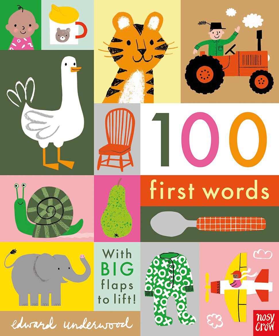 Cover: 9781788004893 | 100 First Words | Buch | Englisch | 2019 | Nosy Crow