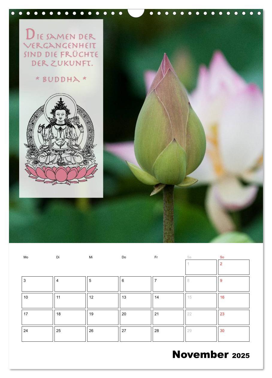 Bild: 9783457013021 | BUDDHAS ZITATE Buddhistische Weisheiten (Wandkalender 2025 DIN A3...