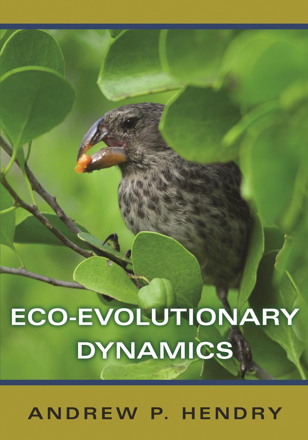 Cover: 9780691204178 | Eco-Evolutionary Dynamics | Andrew P Hendry | Taschenbuch | Englisch