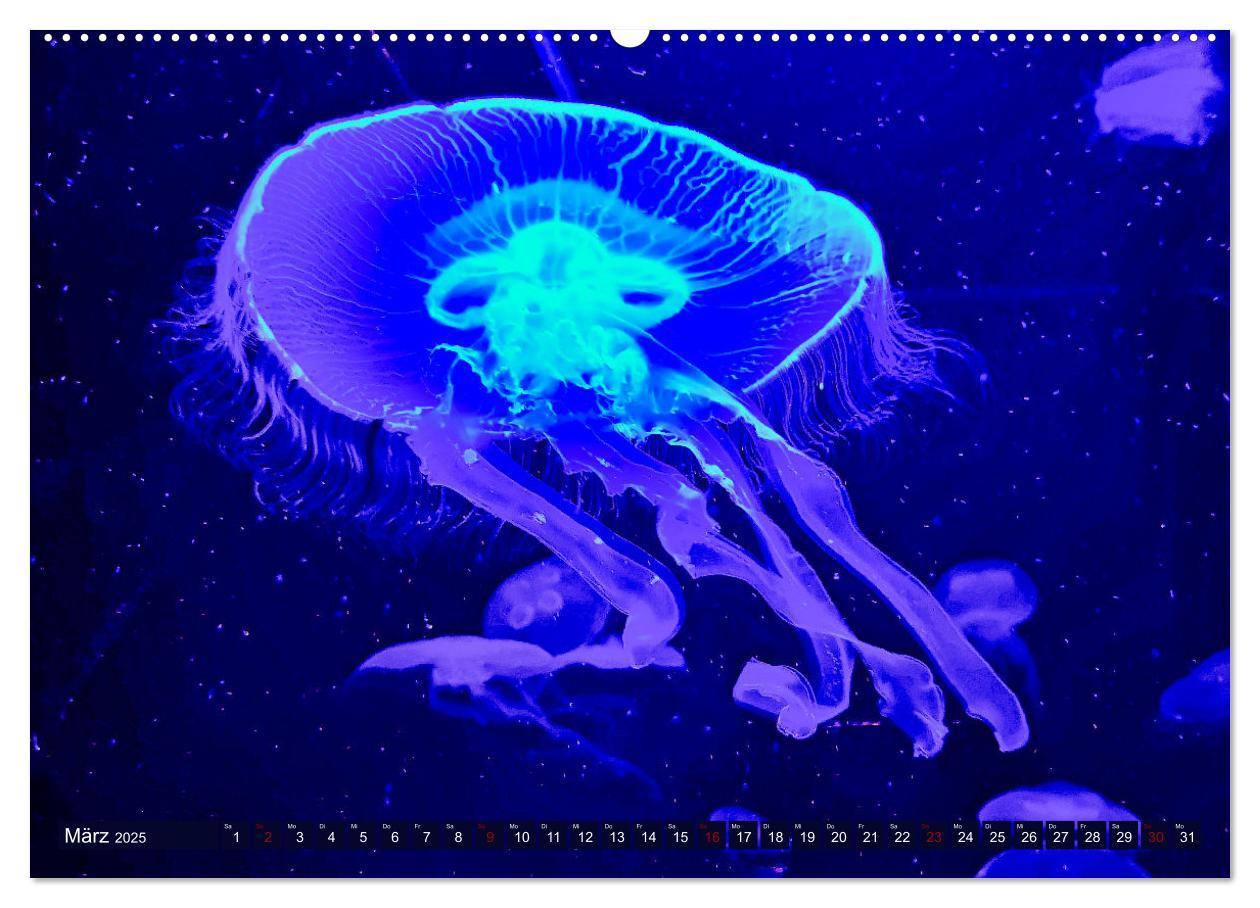 Bild: 9783383953842 | In der Welt der Medusen (hochwertiger Premium Wandkalender 2025 DIN...