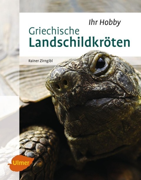 Cover: 9783800103287 | Griechische Landschildkröten | Rainer Zirngibl | Buch | Deutsch | 2015