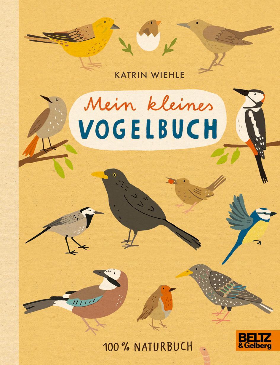 Cover: 9783407823342 | Mein kleines Vogelbuch | Katrin Wiehle | Buch | Deutsch | 2018