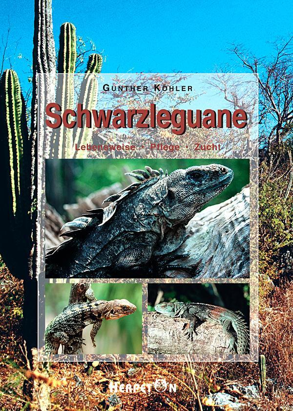Cover: 9783936180015 | Schwarzleguane | Lebensweise - Pflege - Zucht | Gunther Köhler | Buch