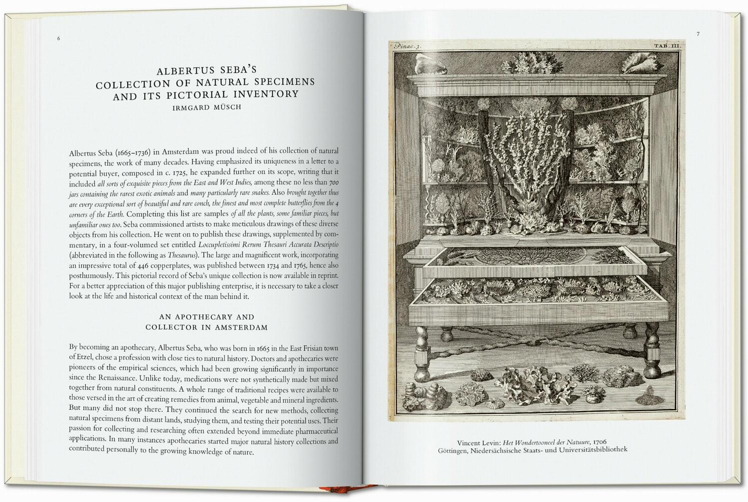 Bild: 9783836587884 | Seba. Cabinet of Natural Curiosities. 40th Ed. | Albertus Seba | Buch