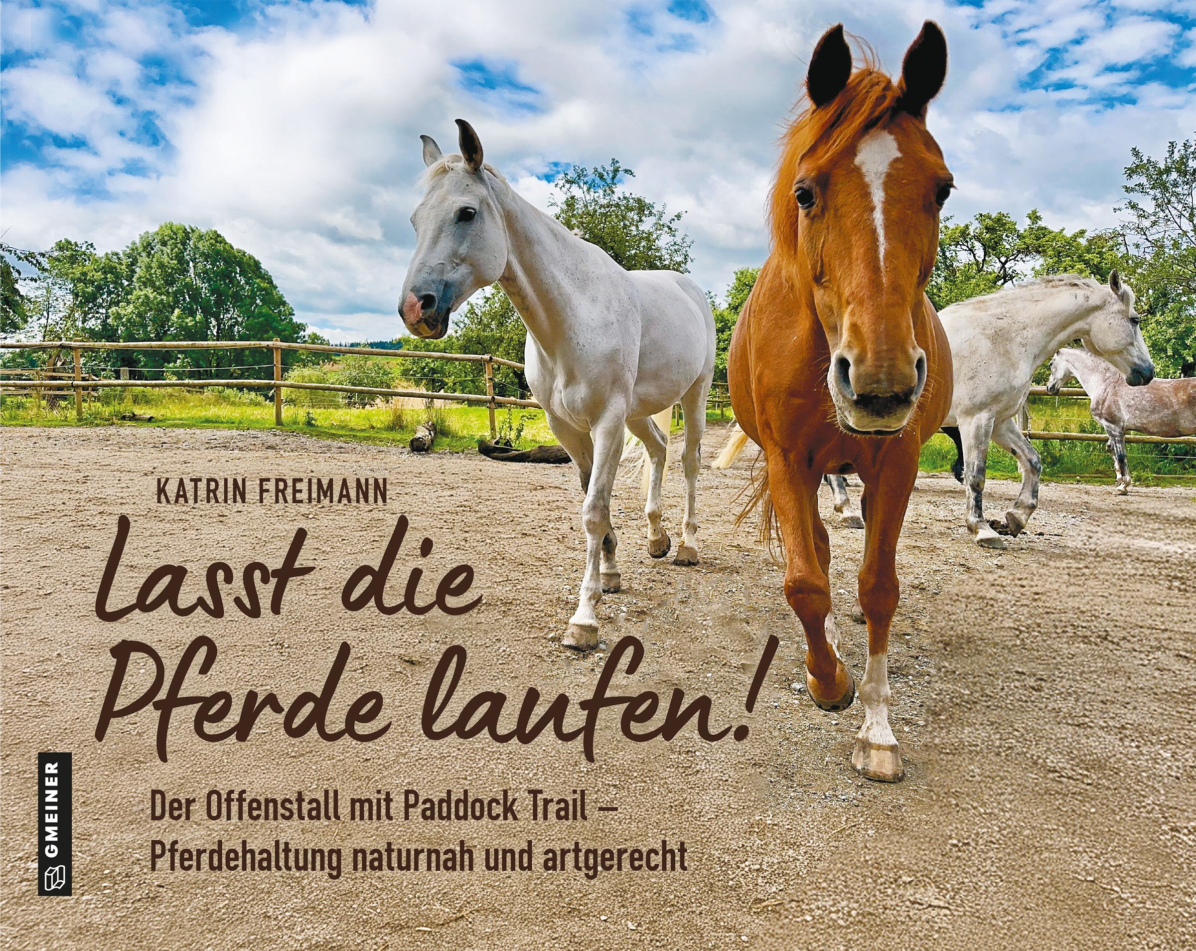 Cover: 9783780140142 | Lasst die Pferde laufen | Katrin Freimann | Buch | 136 S. | Deutsch