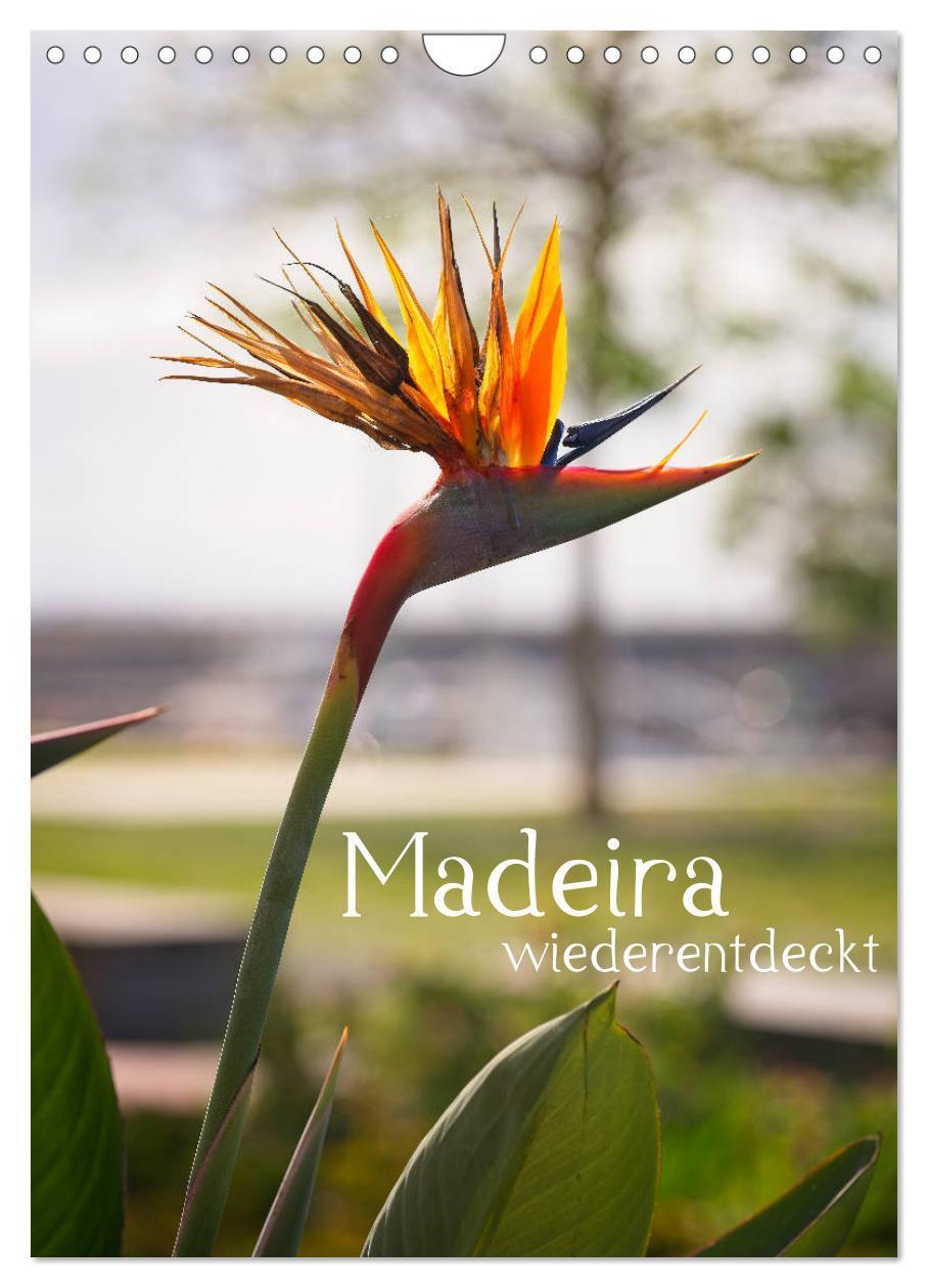 Cover: 9783383081651 | Madeira - wiederentdeckt (Wandkalender 2024 DIN A4 hoch), CALVENDO...