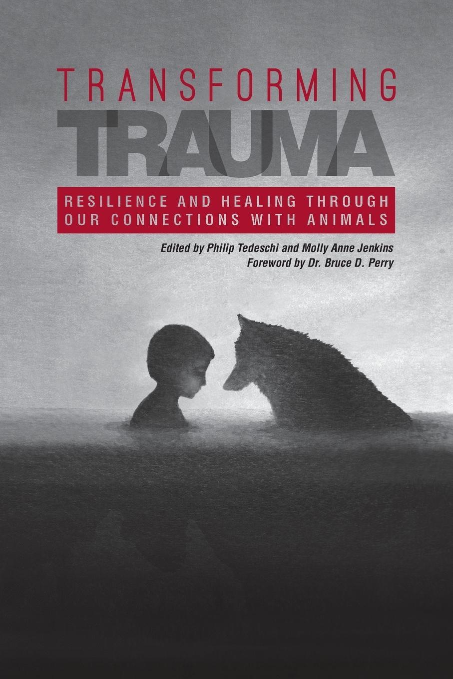 Cover: 9781557537959 | Transforming Trauma | Philip Tedeschi (u. a.) | Taschenbuch | Englisch