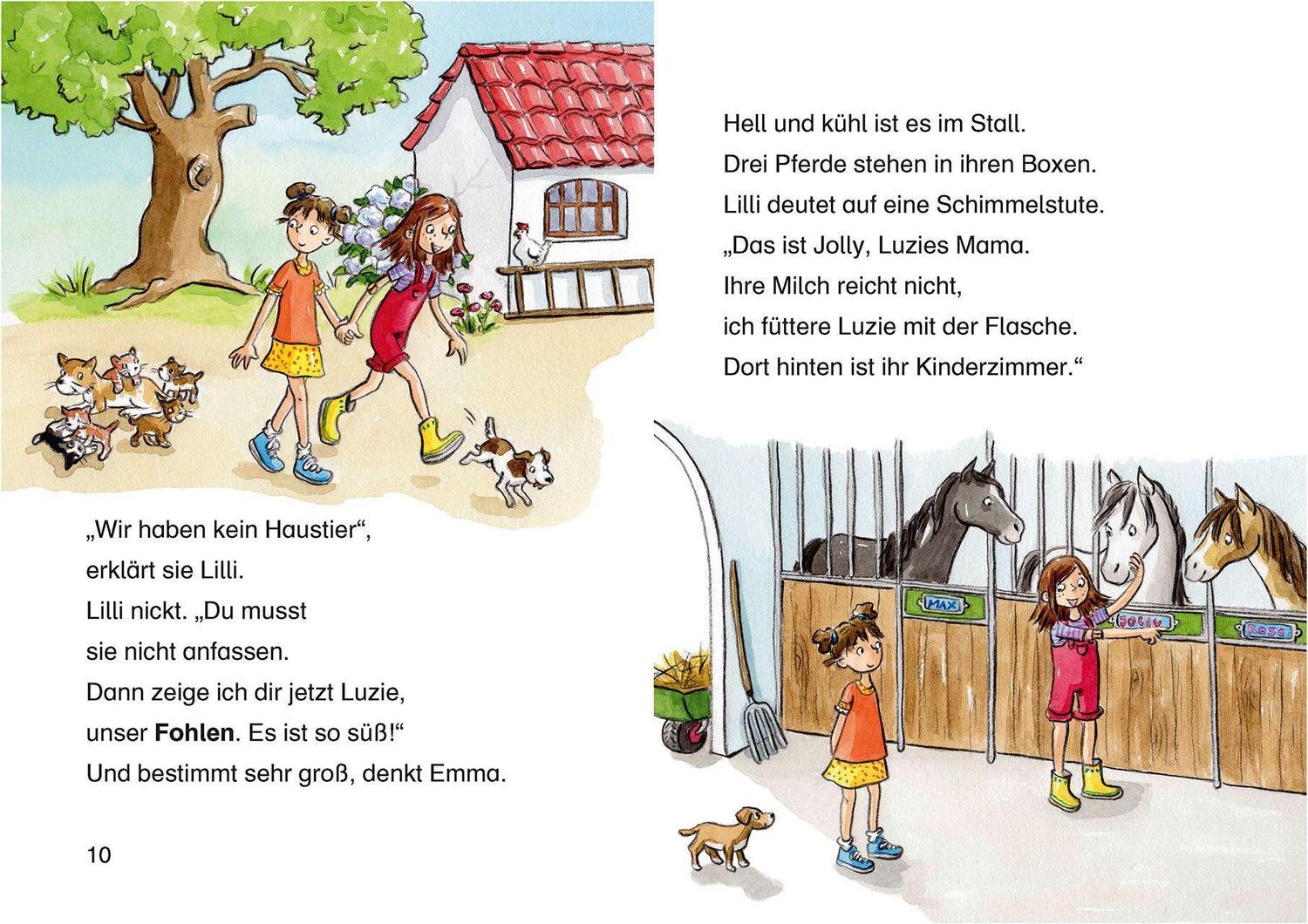 Bild: 9783743202405 | Leselöwen 2. Klasse - Fohlengeschichten | Barbara Rose | Buch | 2019