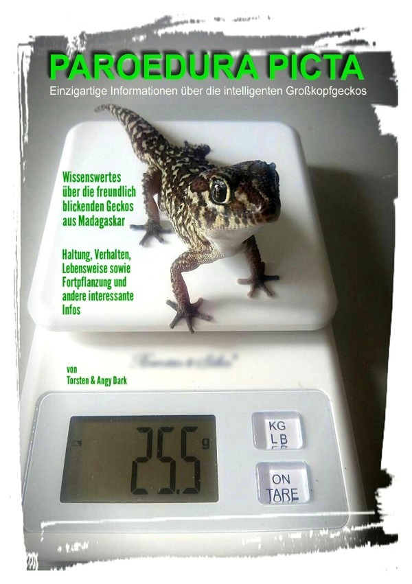 Cover: 9783745029888 | PAROEDURA PICTA - Großkopfgeckos | Angy Dark | Taschenbuch | 56 S.