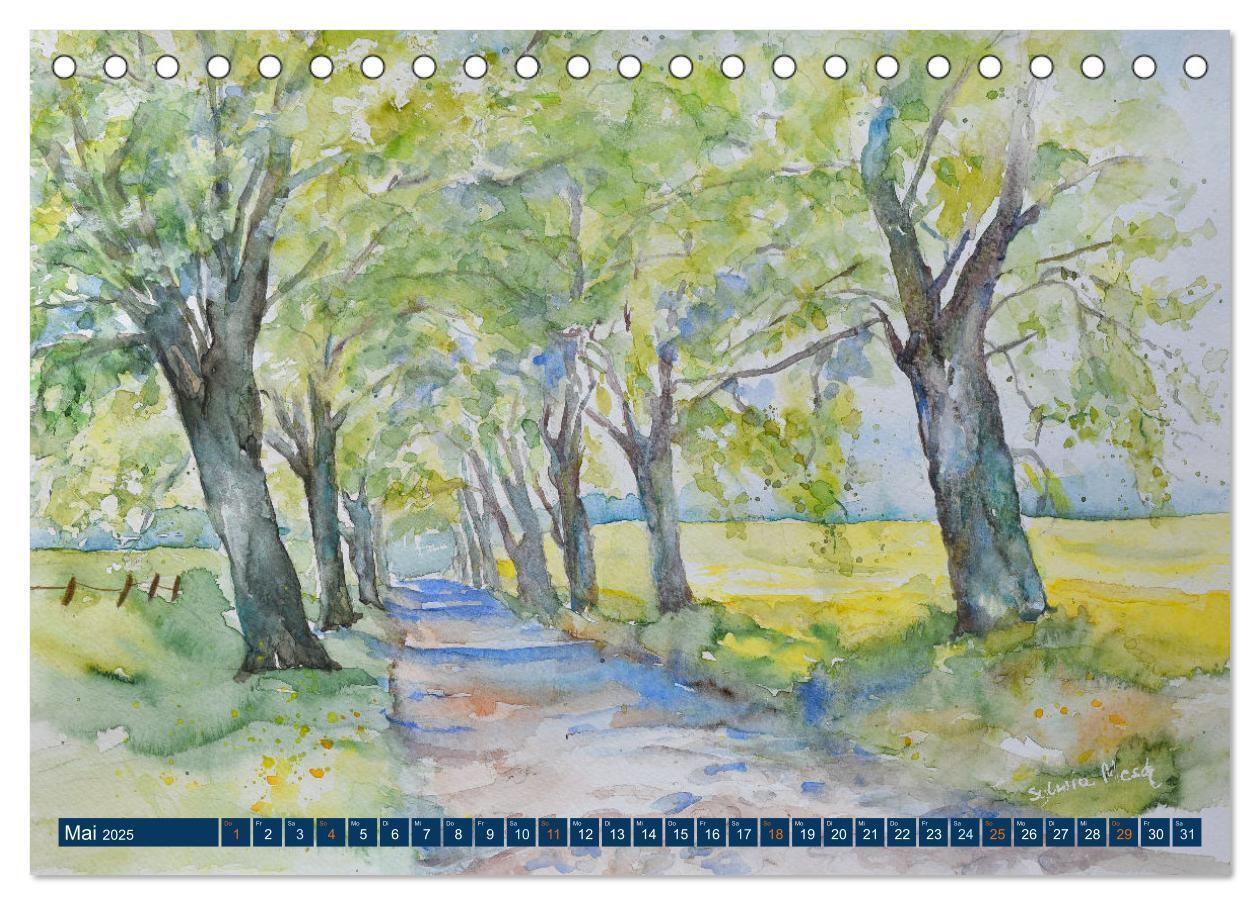 Bild: 9783435074082 | Rügen Impressionen in Aquarell (Tischkalender 2025 DIN A5 quer),...