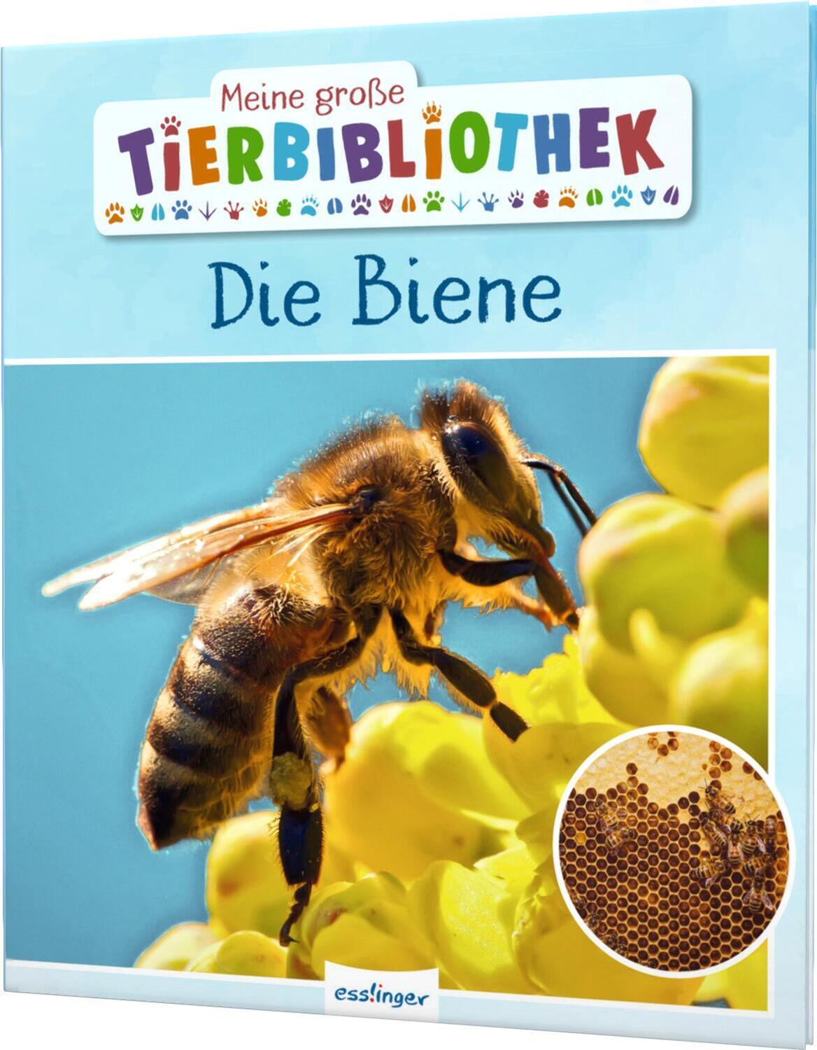 Cover: 9783480236190 | Meine große Tierbibliothek: Die Biene | Paul Starosta | Buch | 32 S.