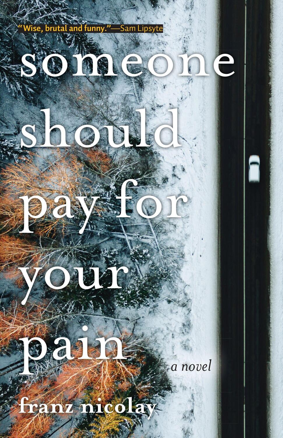 Cover: 9781948721134 | Someone Should Pay for Your Pain | Franz Nicolay | Taschenbuch | 2021
