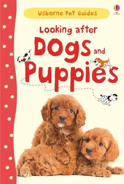 Cover: 9781409532408 | Looking after Dogs and Puppies | Katherine Starke | Buch | Pet Guides