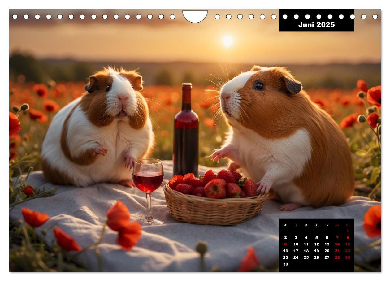 Bild: 9783435011865 | Meerschweinchen mal anders! (Wandkalender 2025 DIN A4 quer),...