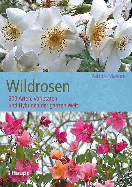 Cover: 9783258078533 | Wildrosen | 500 Arten, Varietäten und Hybriden der ganzen Welt | Buch