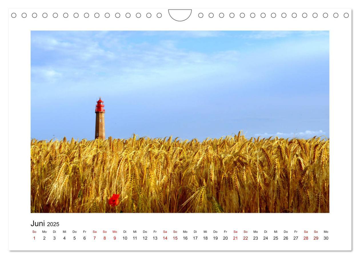 Bild: 9783435433582 | Fehmarn - Bewegende Momente (Wandkalender 2025 DIN A4 quer),...