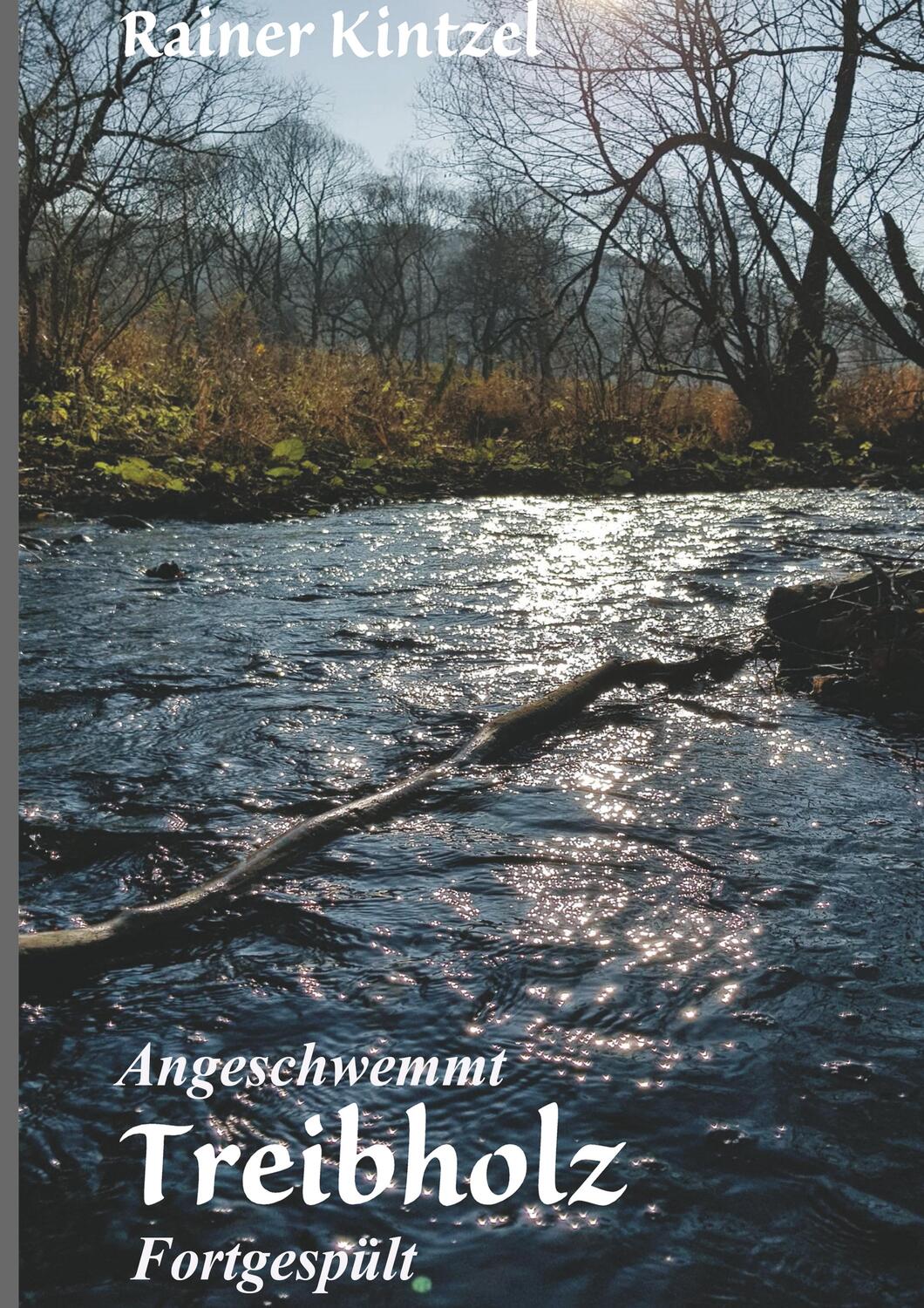 Cover: 9783748204015 | Angeschwemmt - Treibholz | Fortgespült | Rainer Kintzel | Taschenbuch