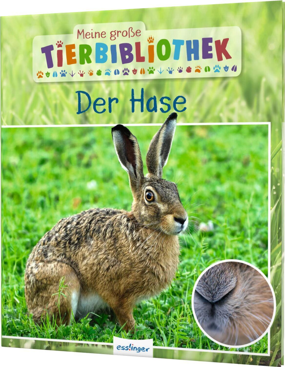 Cover: 9783480236251 | Meine große Tierbibliothek: Der Hase | Jens Poschadel | Buch | 32 S.