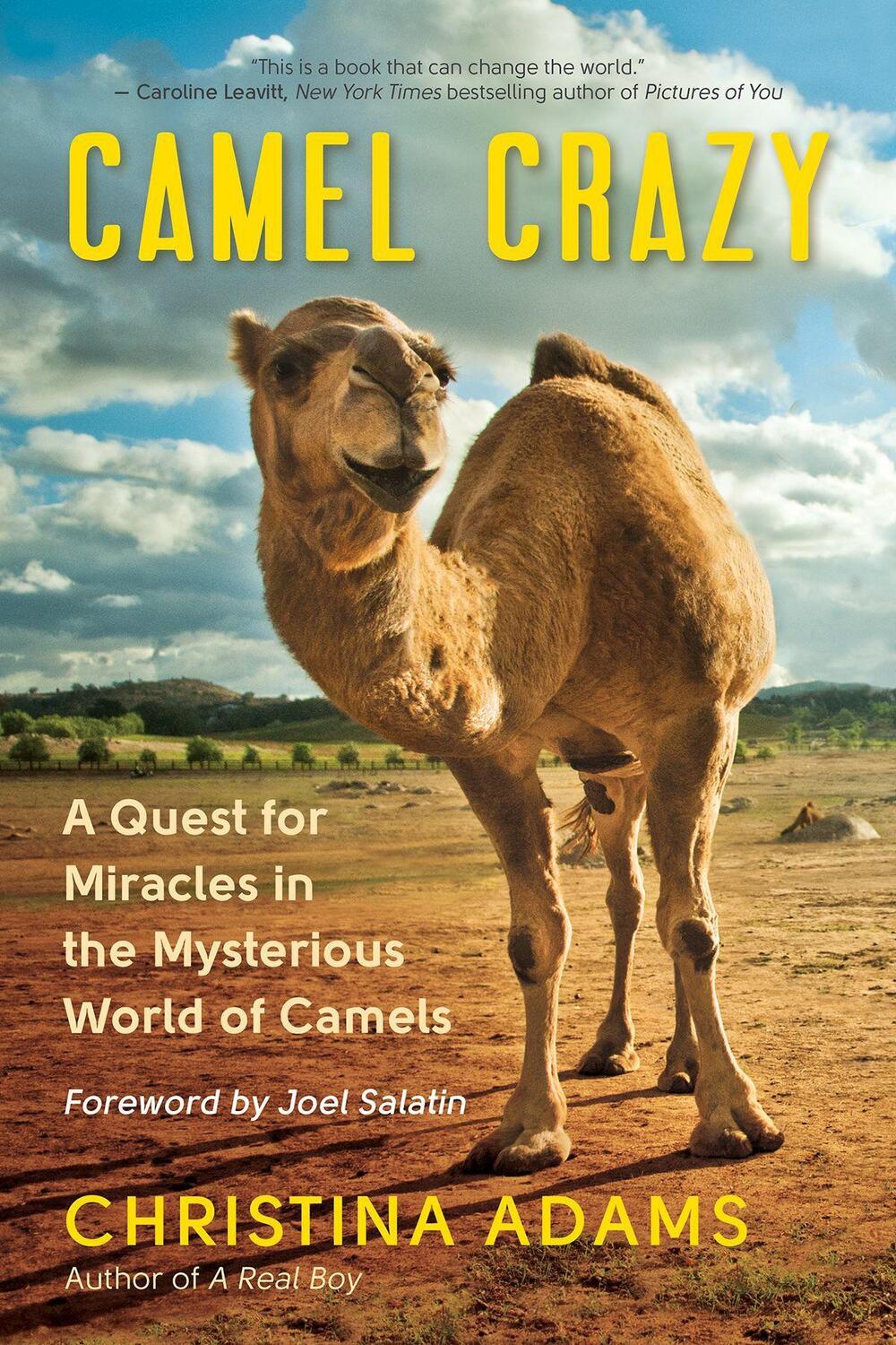 Cover: 9781608686483 | Camel Crazy | A Quest for Miracles in the Mysterious World of Camels