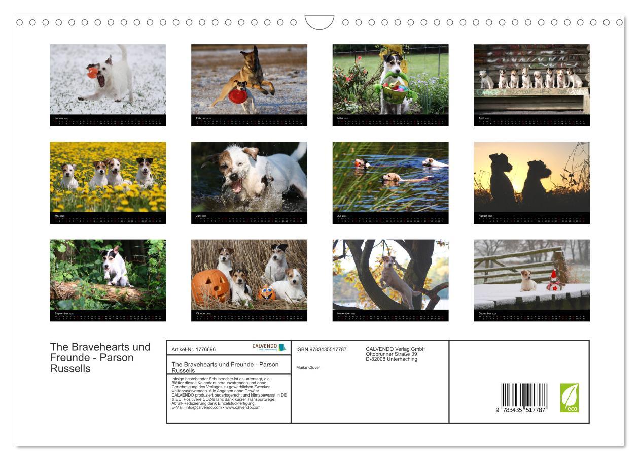 Bild: 9783435517787 | The Bravehearts und Freunde - Parson Russells (Wandkalender 2025...