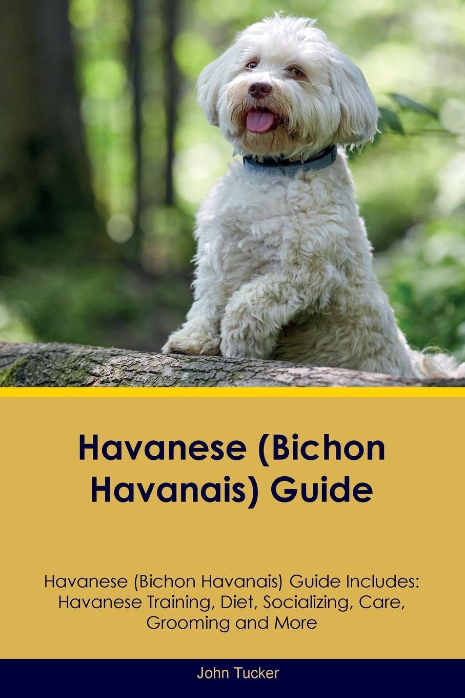 Cover: 9781395861674 | Havanese (Bichon Havanais) Guide Havanese Guide Includes | John Tucker