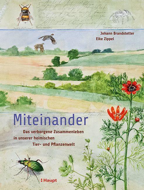 Cover: 9783258082974 | Miteinander | Johann Brandstetter (u. a.) | Buch | Deutsch | 2022