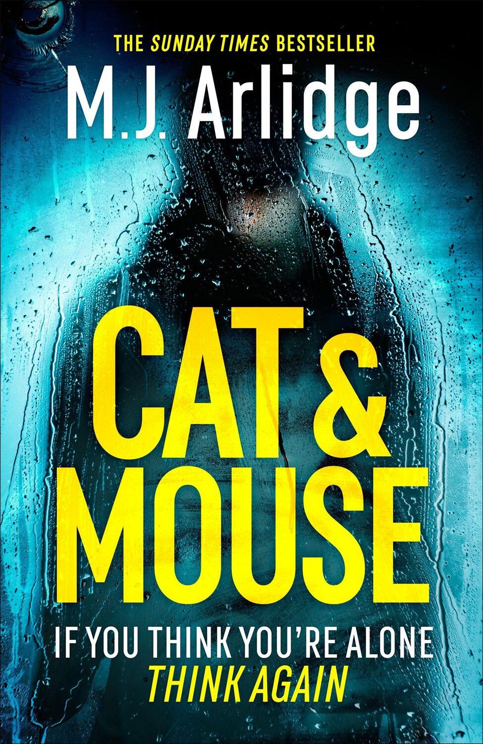 Cover: 9781409188506 | Cat And Mouse | The Gripping New D.I. Helen Grace Thriller | Arlidge
