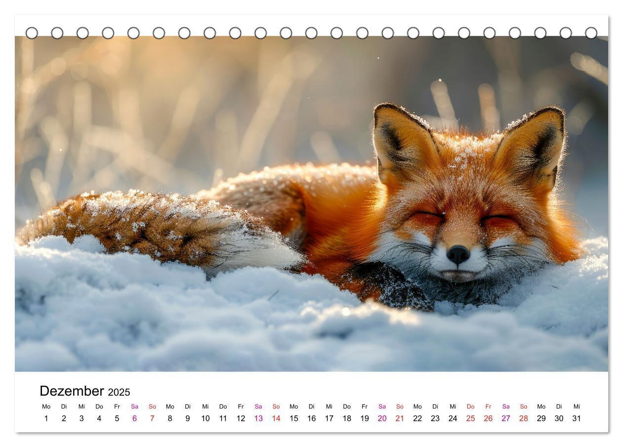 Bild: 9783383815324 | Fuchs - schöne Momente (Tischkalender 2025 DIN A5 quer), CALVENDO...